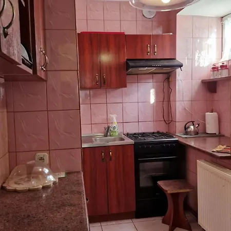 公寓 W Karkonoszach Z Widokiem Na Zamek Chojnik 耶莱尼亚古拉