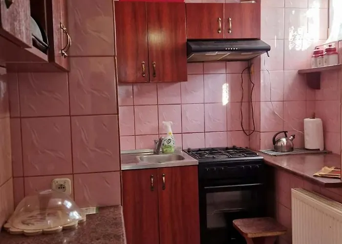 公寓 W Karkonoszach Z Widokiem Na Zamek Chojnik 耶莱尼亚古拉